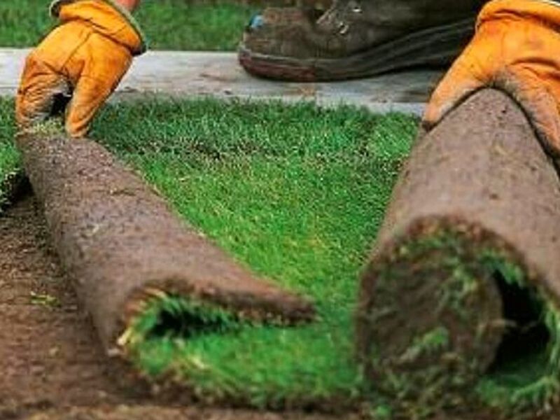 Instalación Pasto Rollo Temuco