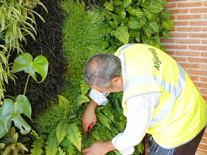 Mantención Áreas Verdes Arica