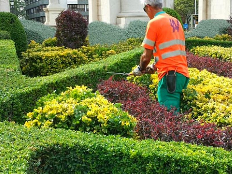 Mantención Áreas Verdes Iquique