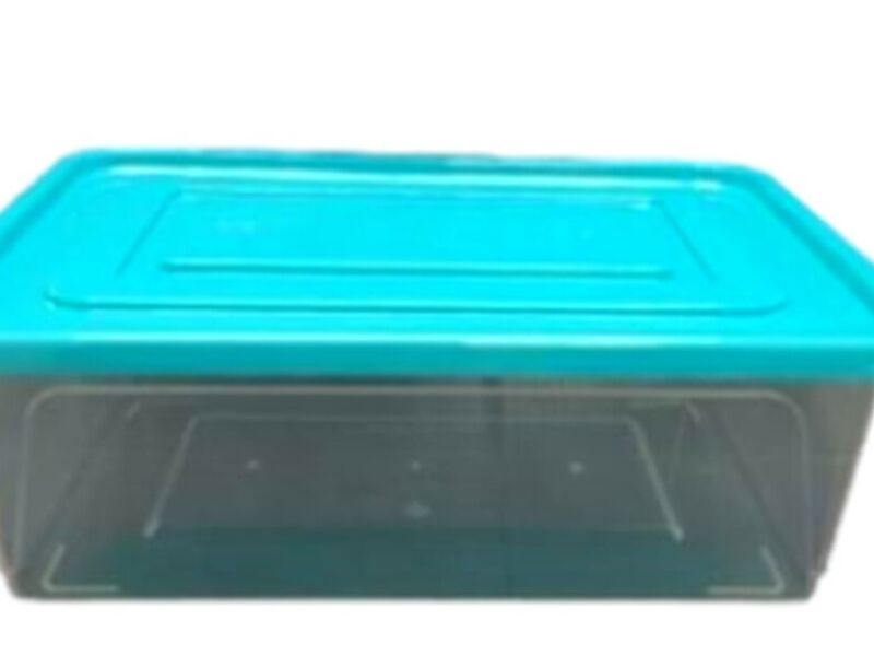 CAJA MADRID 3.2 LITROS Chile