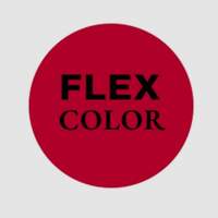 FLEX COLOR CHILE