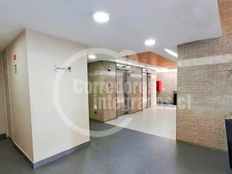 Oficina Arriendo San Damián Chile 