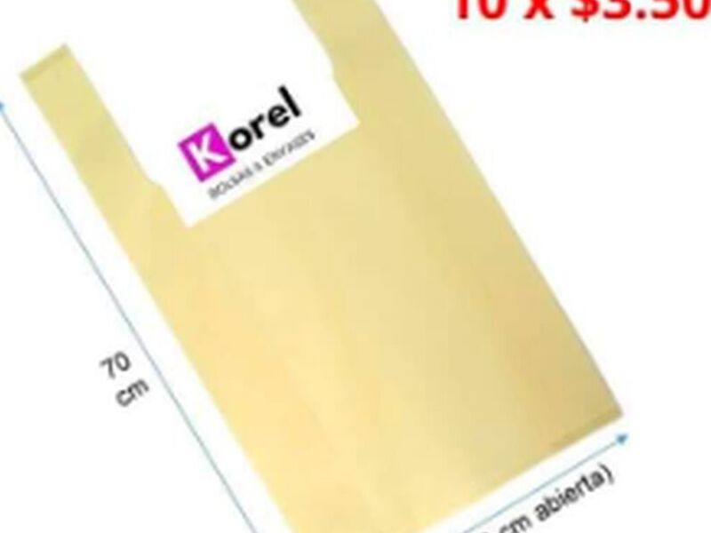 BOLSA GRANDE TNT Chile