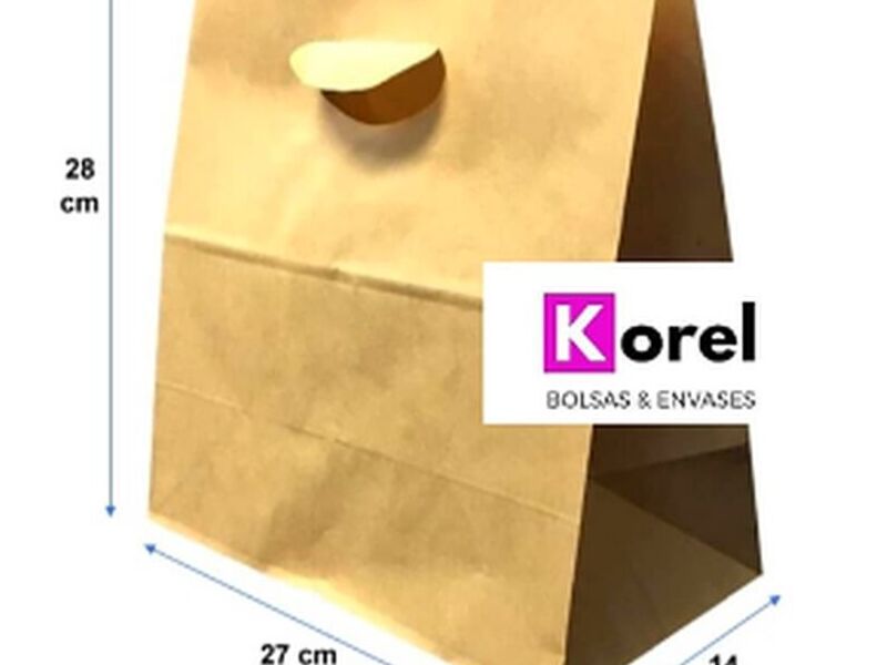 Bolsa delivery Chile