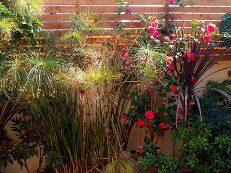 Diseño Jardines Punta Arenas