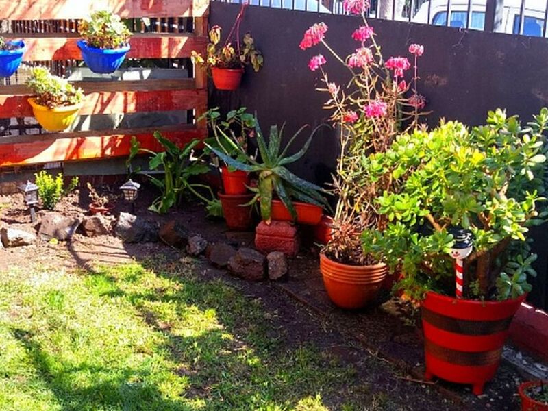 Diseño Jardines La Serena