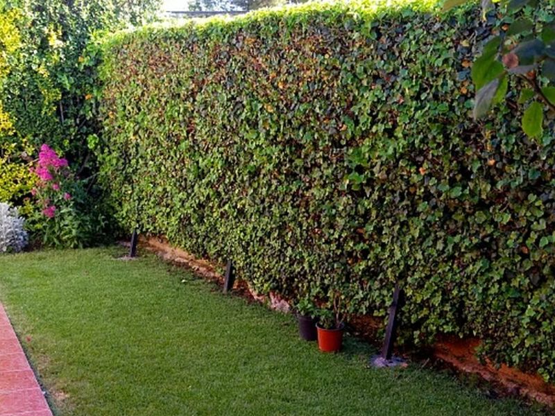Diseño Jardines Coquimbo