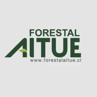 Forestal Aitue