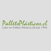 Pallets Plasticos