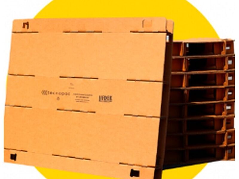 Pallet Chile carton 