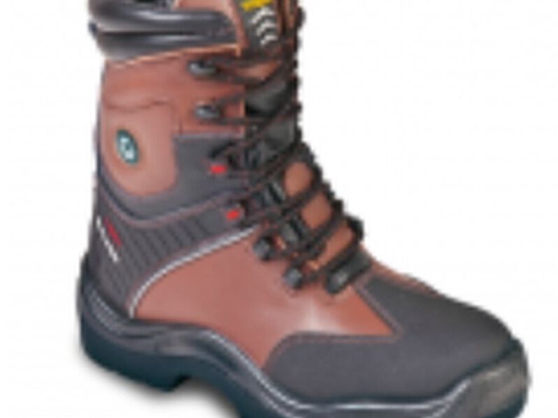 EXPLORER T50 Chile