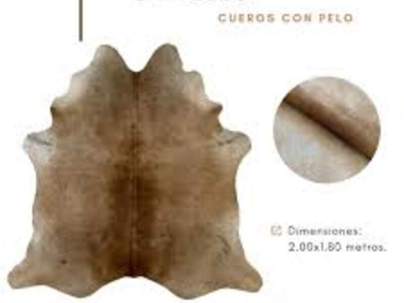 Piel de Ciervo Chile