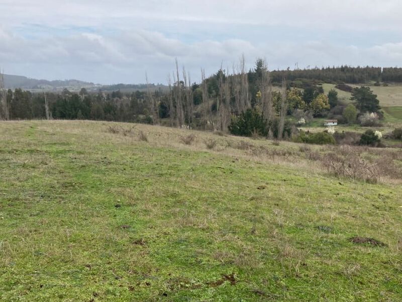 Terreno venta  Chol Temuco