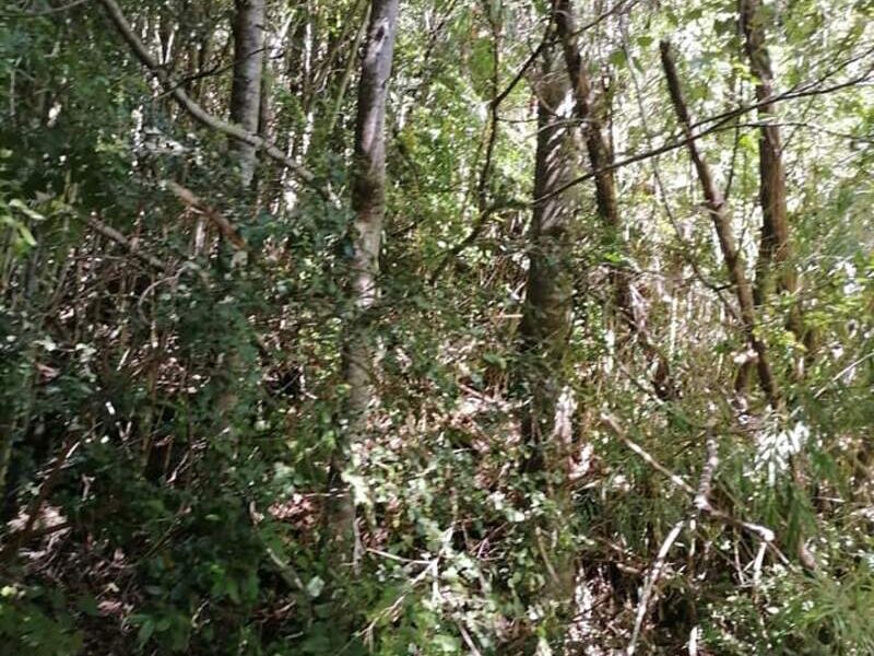Terreno venta Agustin Temuco
