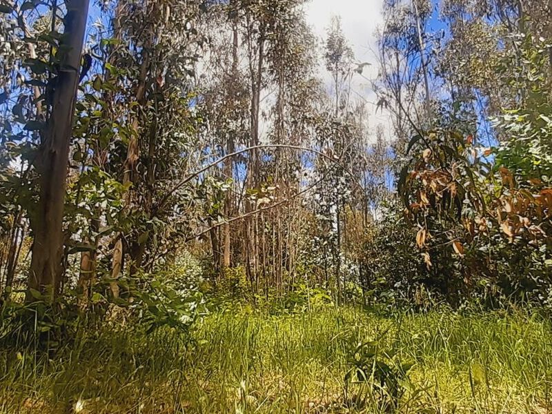 Terreno venta Imperial Temuco