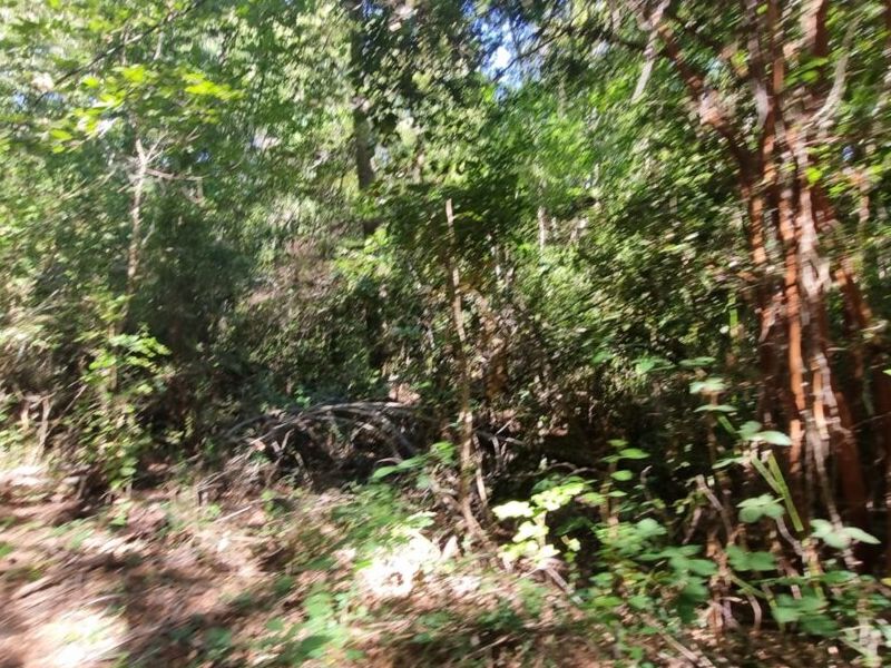 Terreno venta  Llaima Temuco
