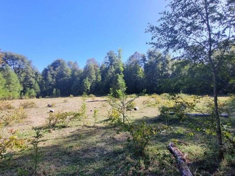 Terreno venta Cercanas Temuco