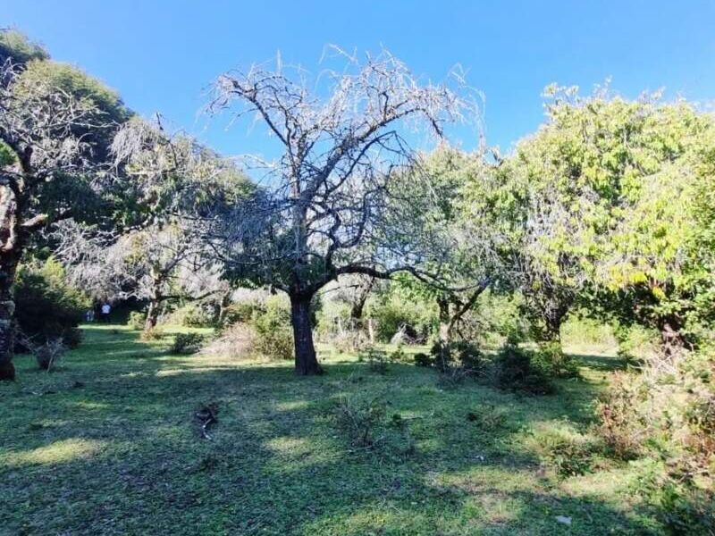 Terreno venta Cherquenco Temuco