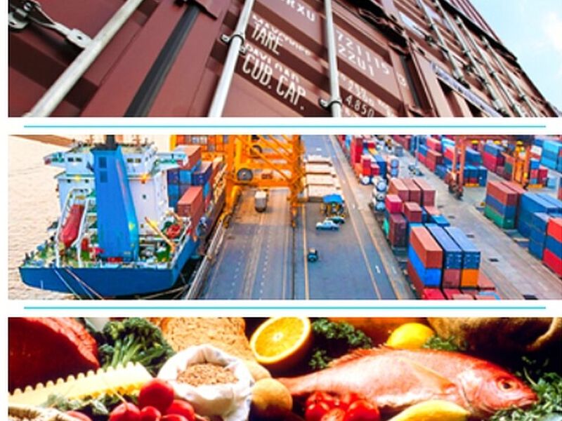 FULL CONTAINER SANTIAGO 