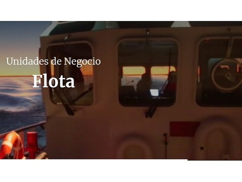 Unidades Negocio Flota Chile 