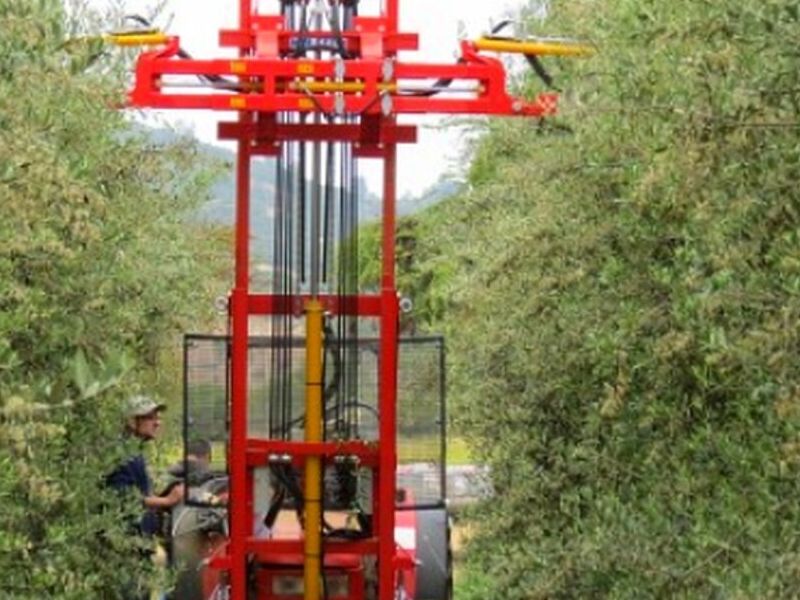 Podadora de Discos para Topping y setos