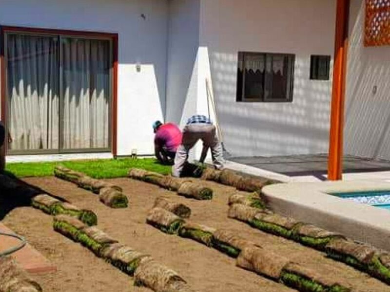 Instalación Pasto Rollo Coihueco
