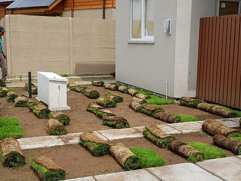 Instalación Pasto Rollo Rancagua