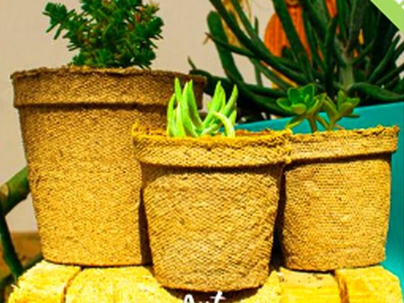 Maceta de turba ecológica Chile
