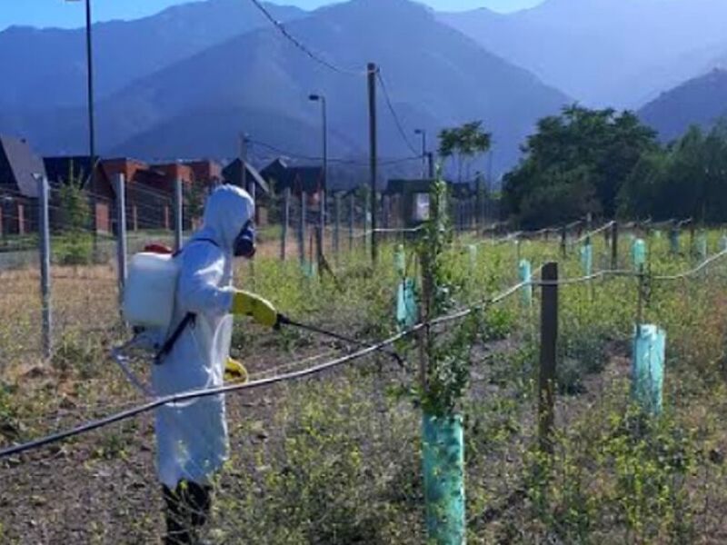 Mantención Áreas Verdes Rancagua