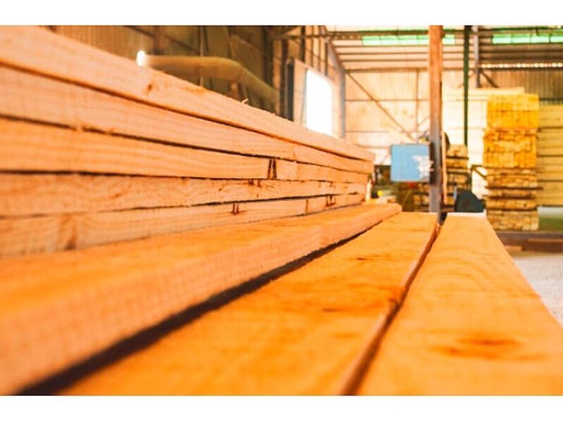 Madera seca cepillada Constitución