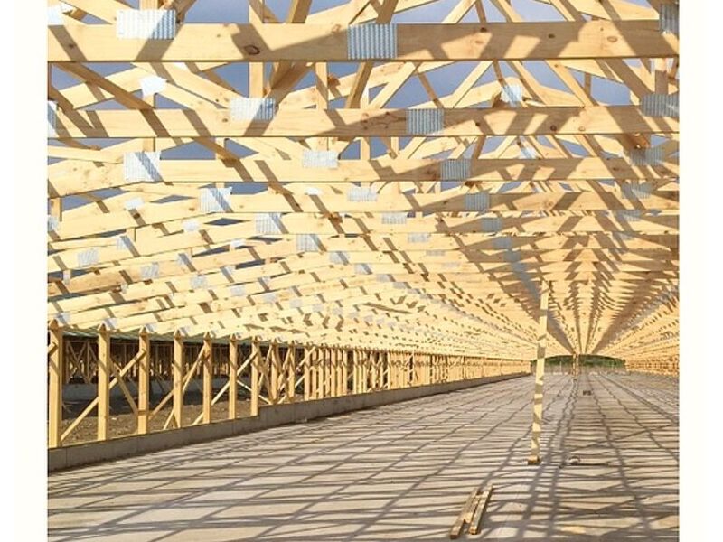 Madera Estructural Constitución
