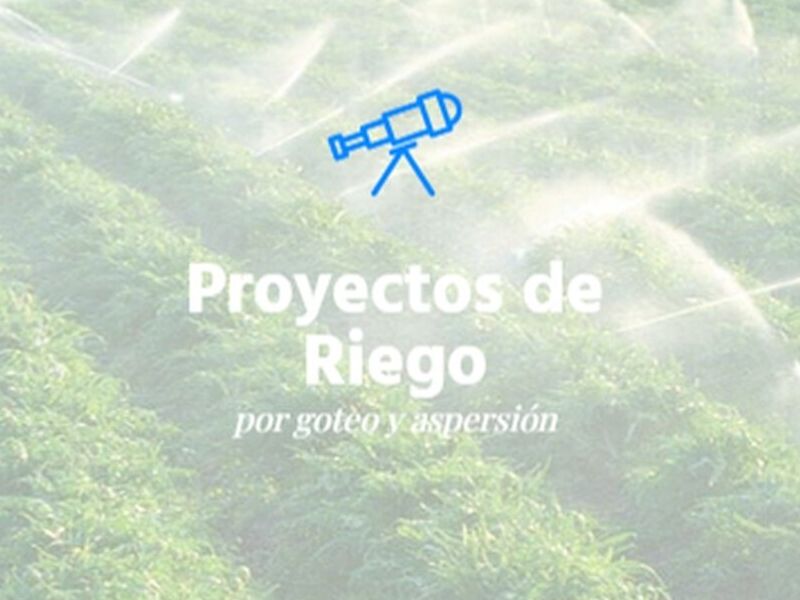 Proyectos riego por goteo Chile 