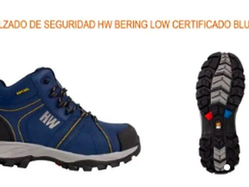 Botín Bering Low Chile 