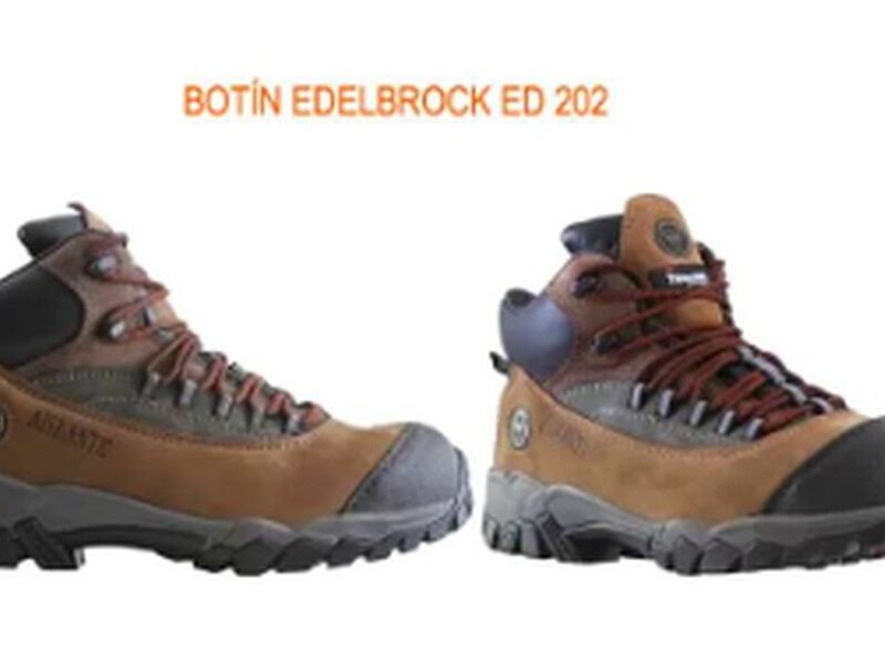 Botín Edelbrock 202 Chile 