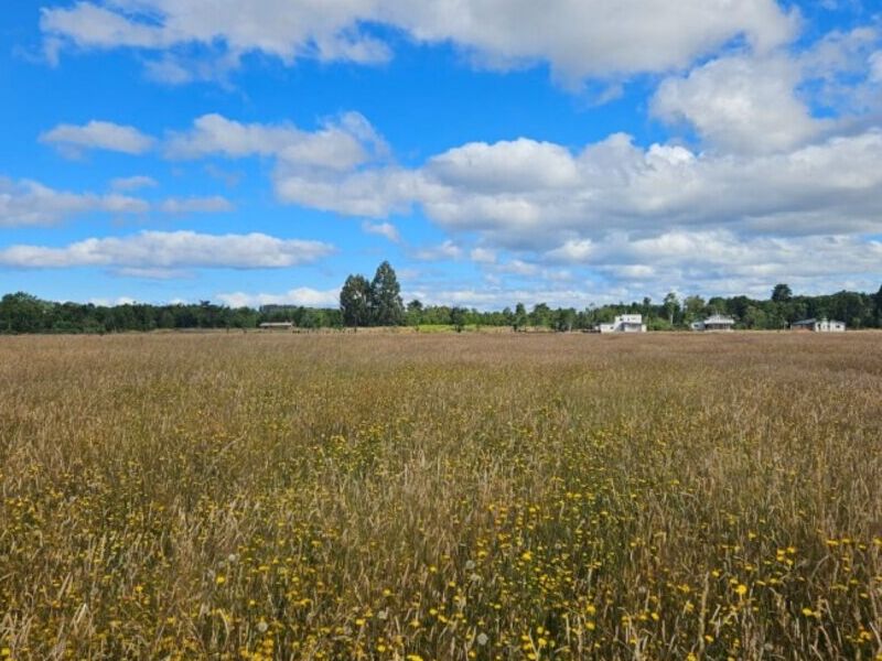 Terreno venta Frutillar Montt