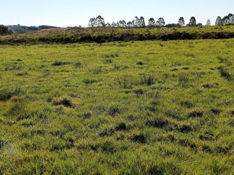 Terreno venta Puerto  Montt