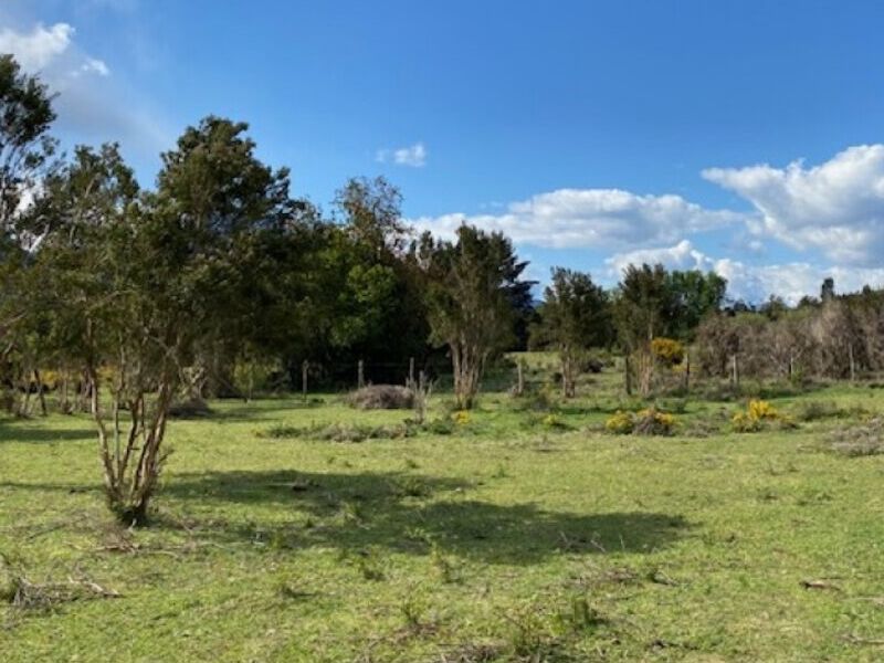 Terreno venta  Puelo Montt