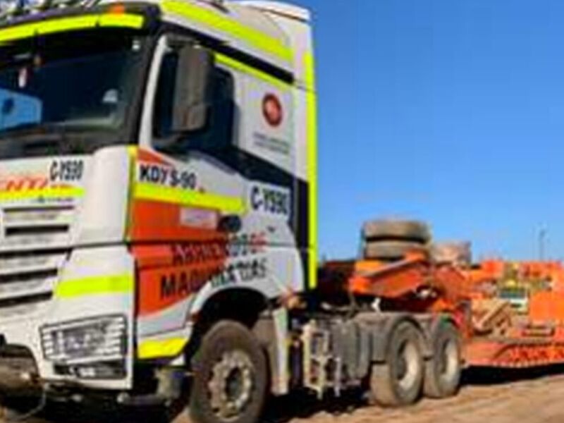 Camion Cama Baja Chile