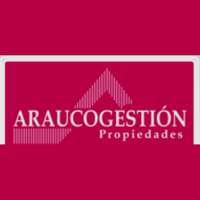 Arauco Gestión