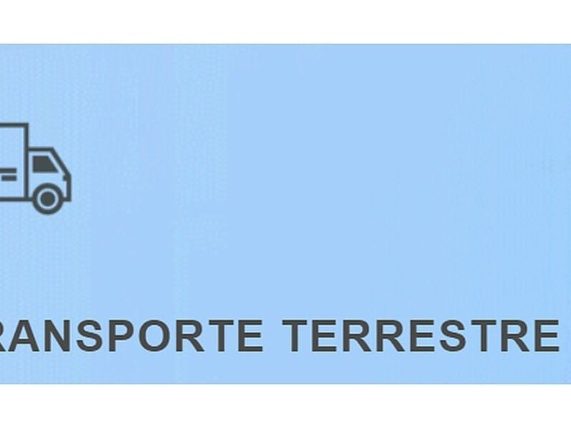 TRANSPORTE TERRESTRE CHILE 