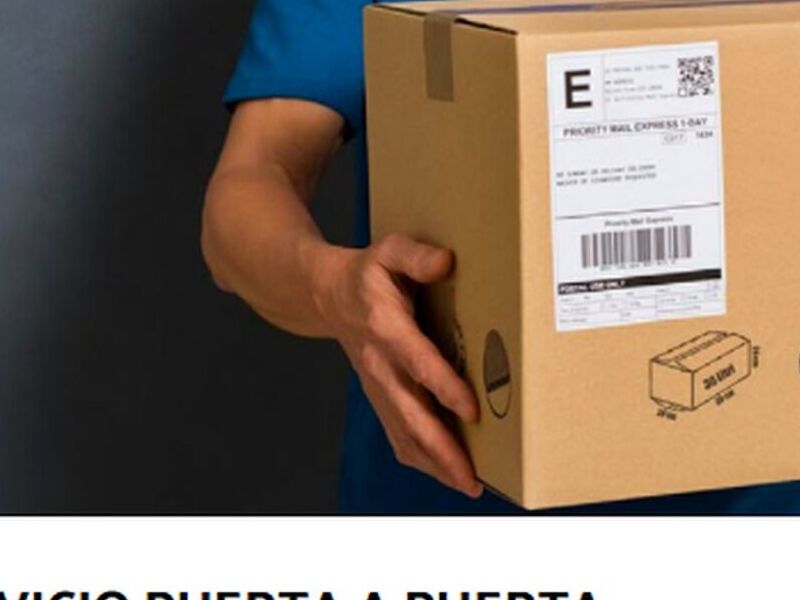 SERVICIO PUERTA PUERTA CHILE 