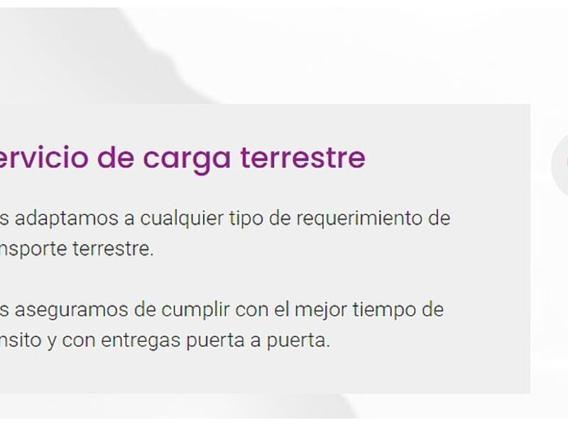 Servicio carga terrestre Arica 