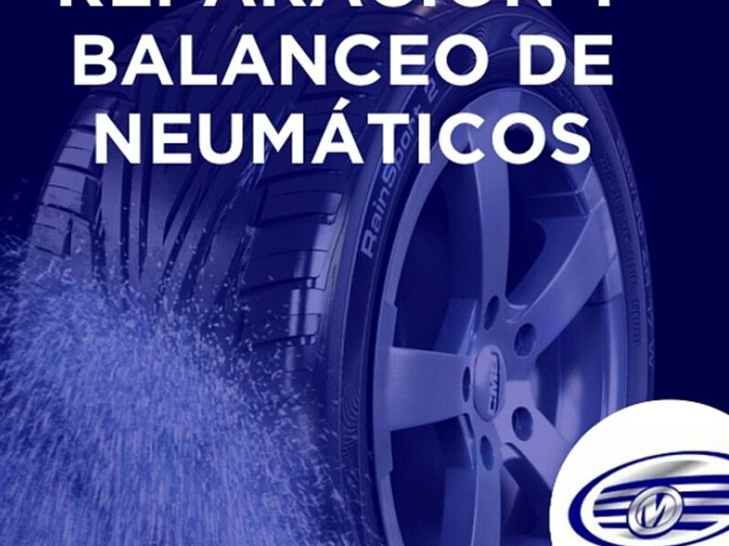 Reparacion Neumaticos Chile
