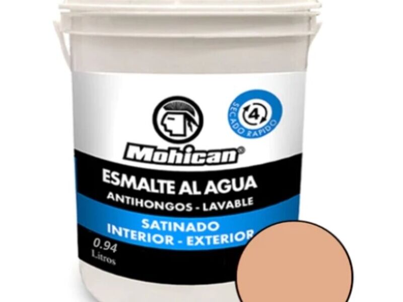 Esmalte Agua Antihongos Chile
