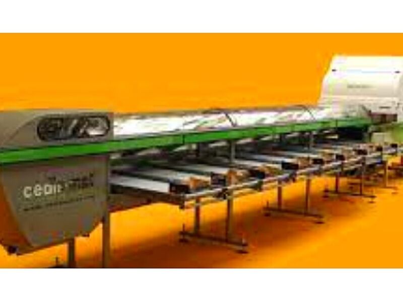 Calibradoras electrónicas Concepción 