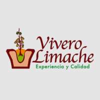 Vivero Limache