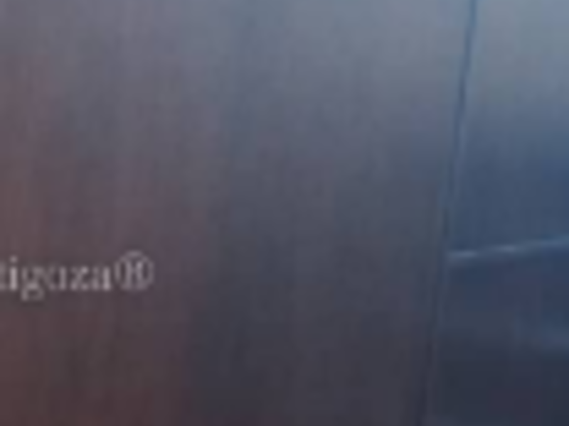 Pared de Madera Fina Osorno