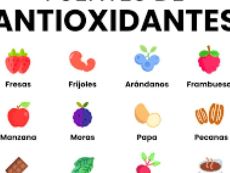 Antioxidantes Chile 