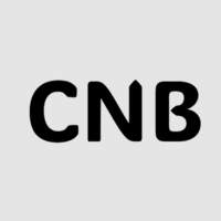 CNB Contructora Navarro Bravo