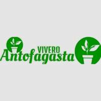 Vivero Antofagasta